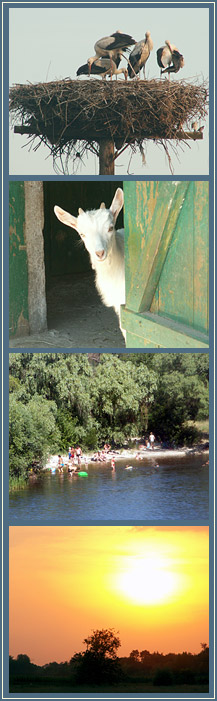 Zu Gast auf dem Dorf